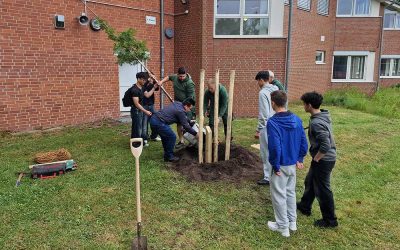 In Erinnerung an Torres Tung Le