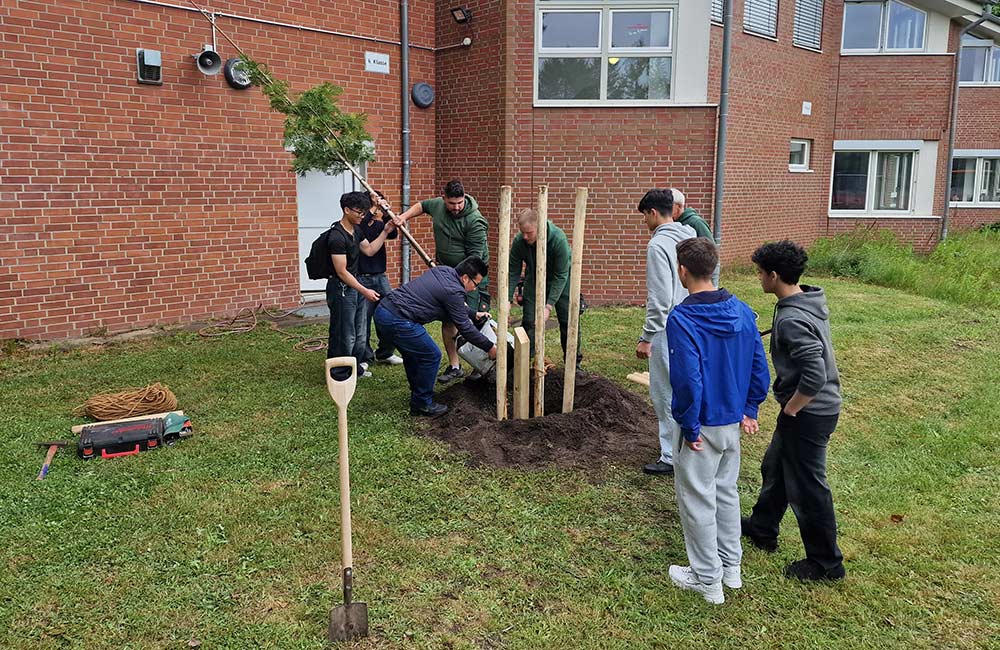 EBG Wedel in Erinnerung an Torres Tung Le Baum - Baum wird gepflanzt