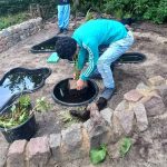 EBG Insektenfreundlicher Garten - Wasserpflanzen werden eingesetzt