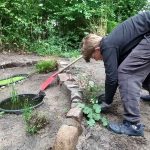 EBG Insektenfreundlicher Garten - Stauden und Kräuter werden gepflanzt