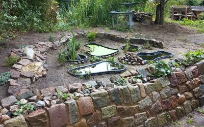 Insektenfreundlicher Schulgarten